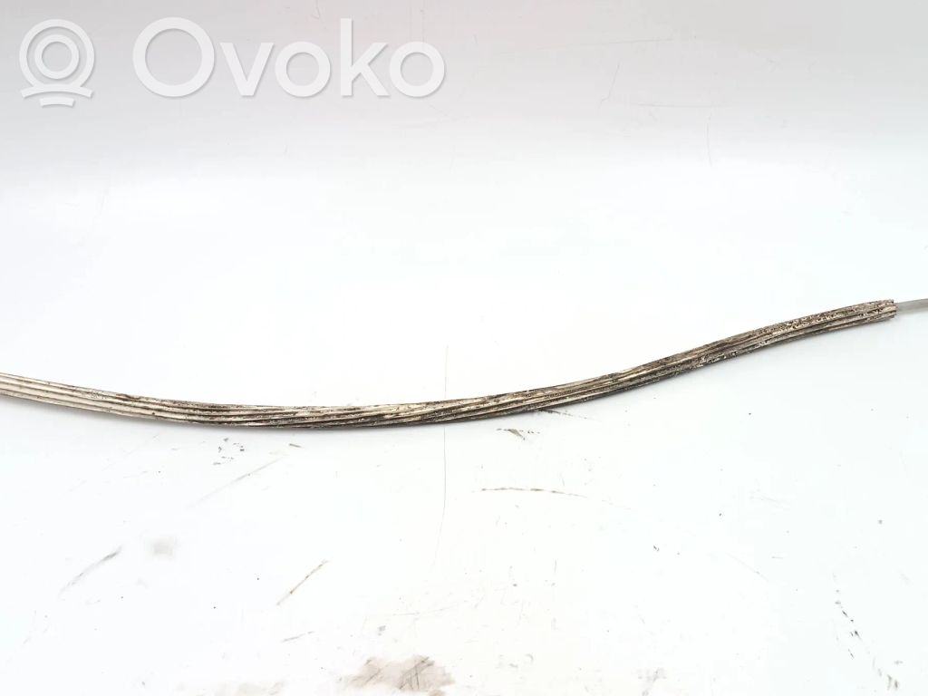 Trosīte