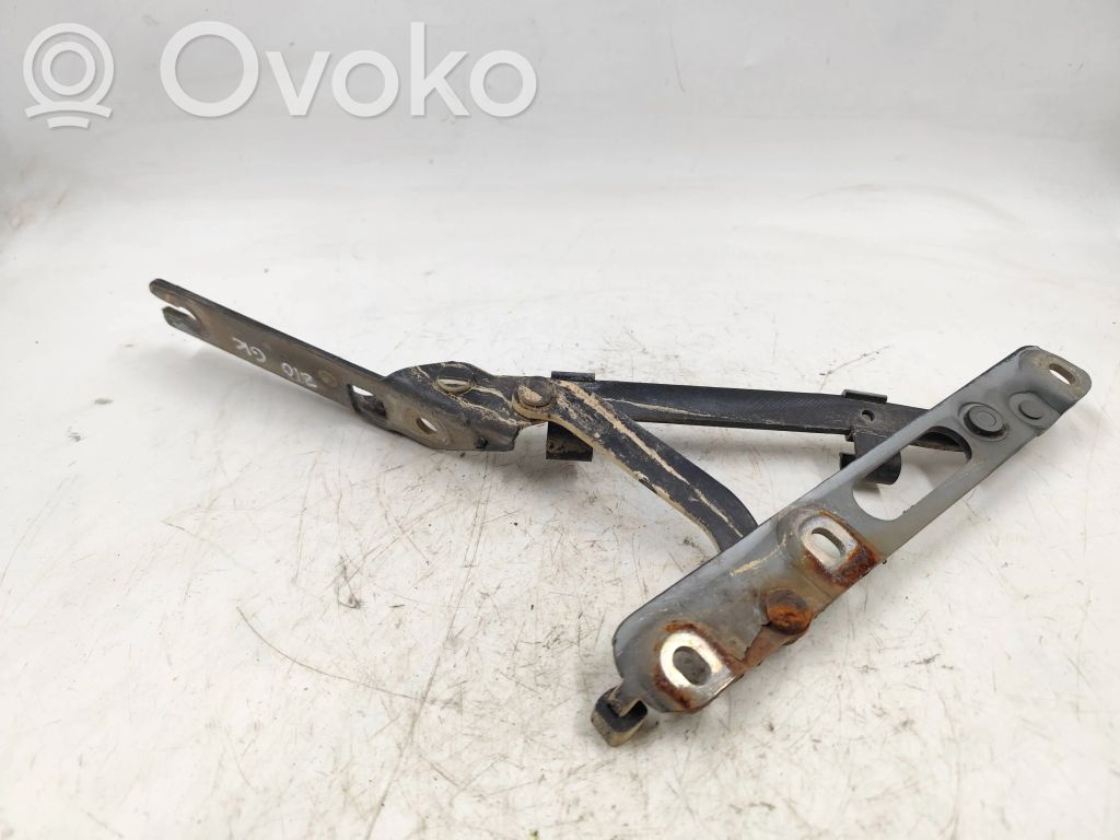 Tailgate/trunk/boot hinge