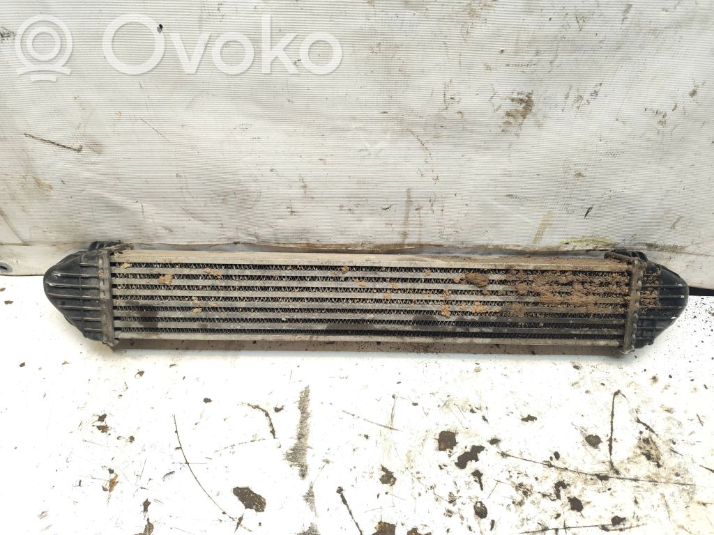 Mercedes-Benz A W169 Radiator intercooler 