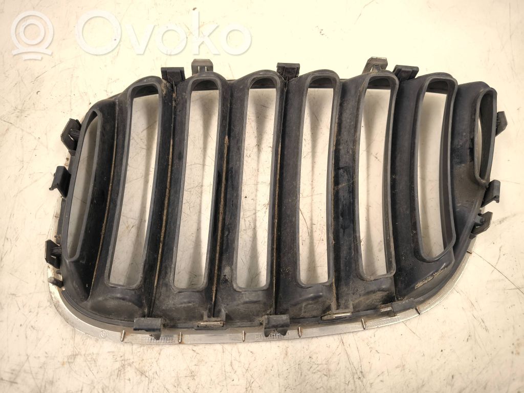 Front grill   51137113738