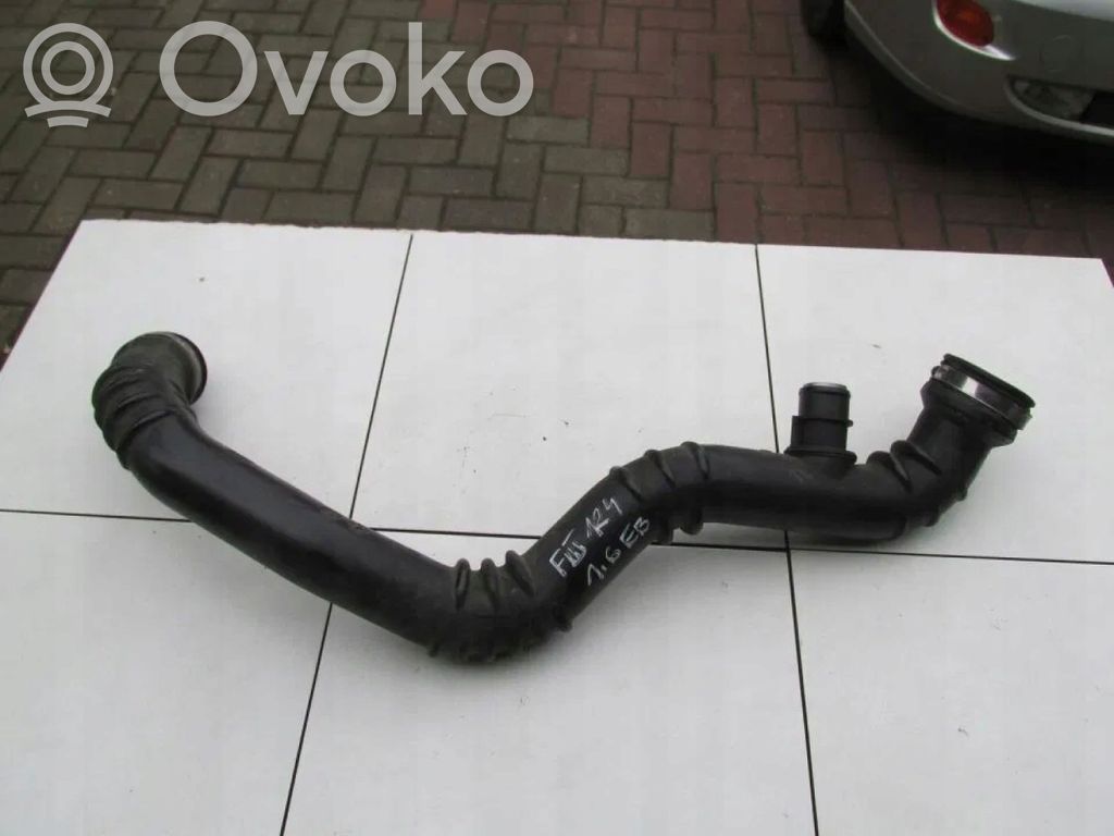 Ford Focus Žarna (-os)/ vamzdis (-džiai) 