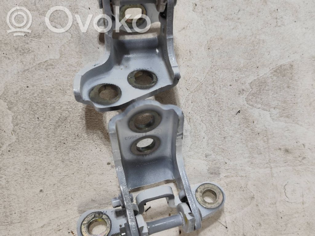 Front door hinge set   1122003
