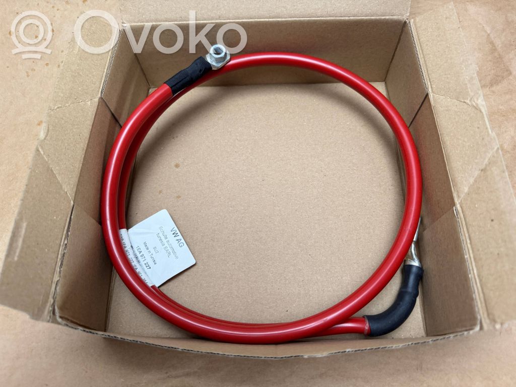 Pluskaapeli (akku)   1EA971227