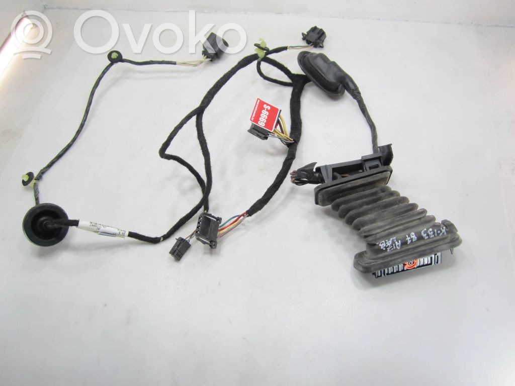 Volkswagen PASSAT B7 Cableado de puerta trasera 