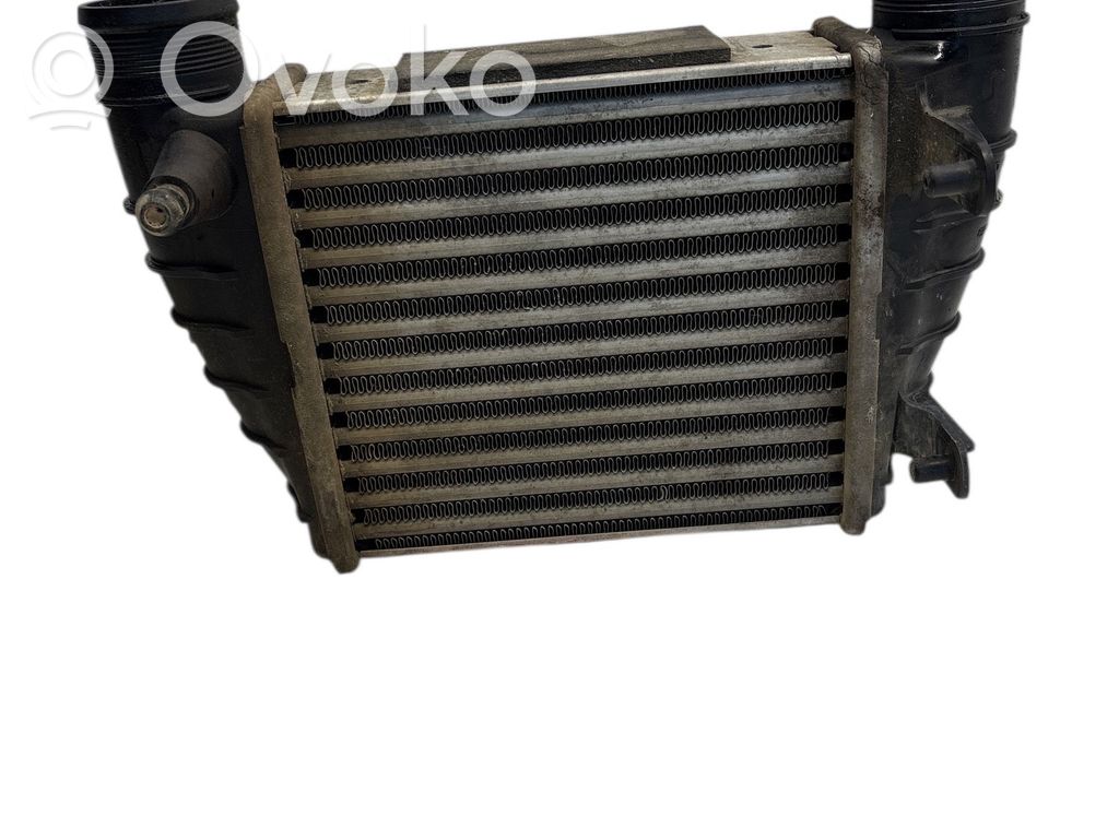 Audi A4 S4 B7 8E 8H Interkūlerio radiatorius 