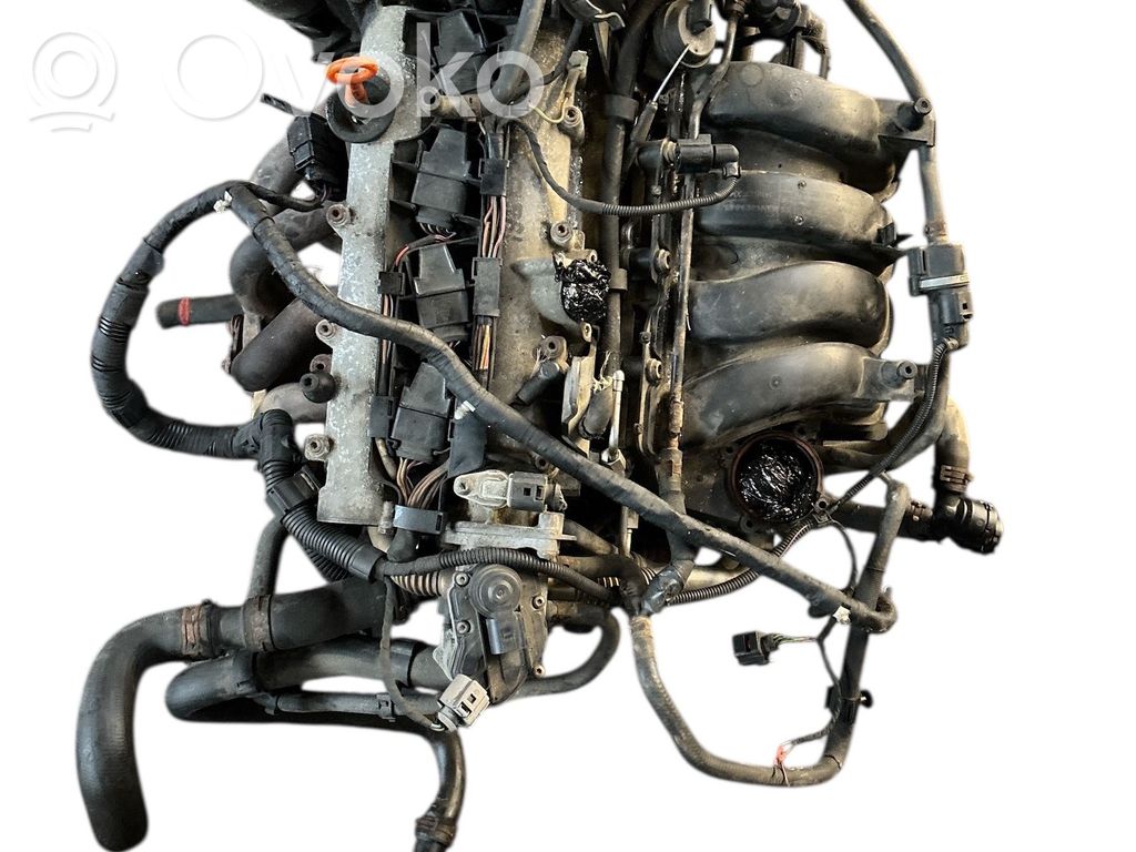 Engine   BLF