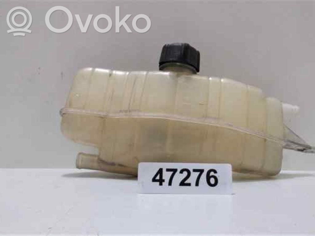 Renault Clio III Kuro išsiplėtimo bakelis 