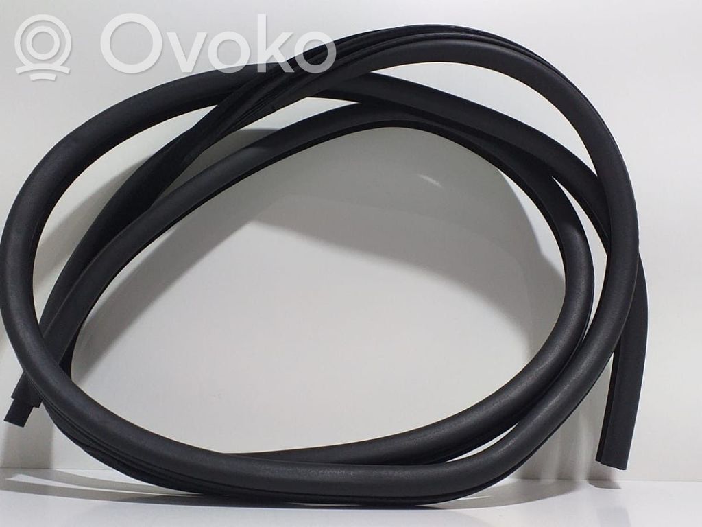 BMW 3 E46 Rubber seal rear door 
