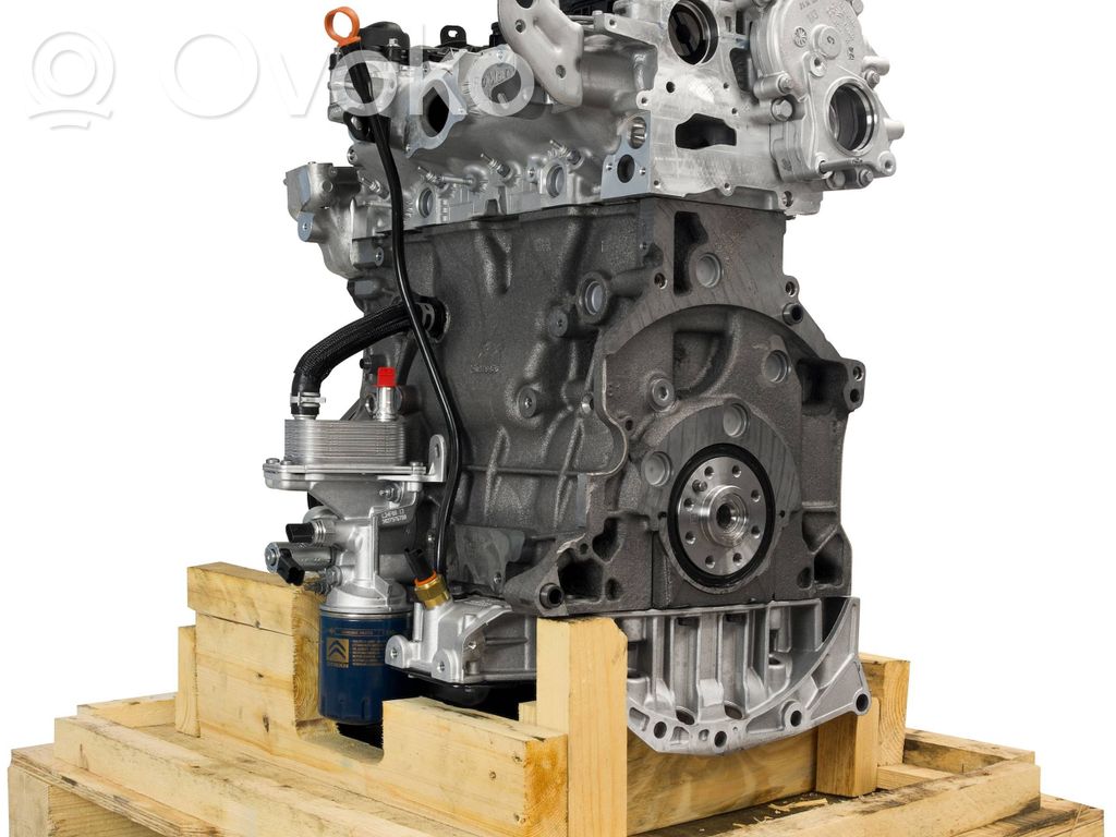 Engine   AH03,DW10FUC,DW10FUD,1638157680