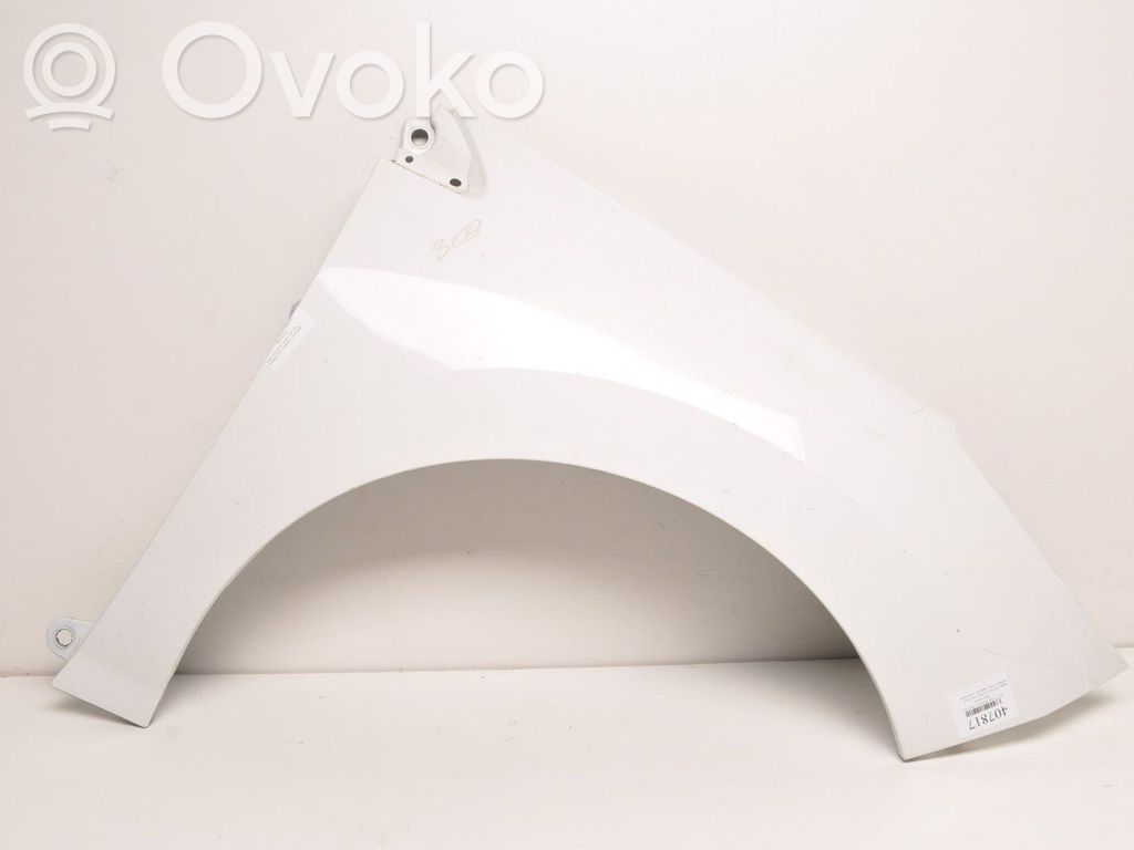 Front mudguard