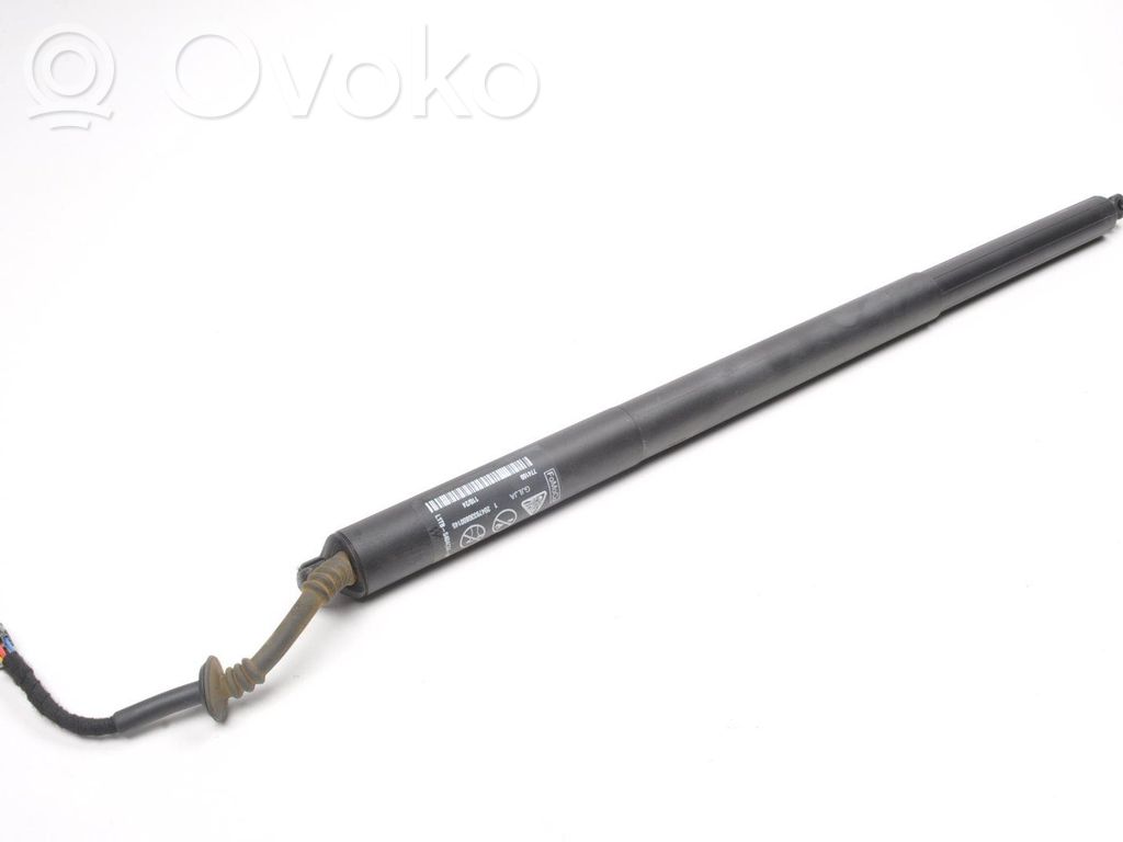 Tailgate strut   L1TBS404C84AB