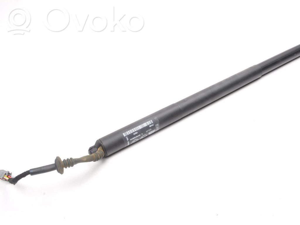 Tailgate strut   L1TBS404C84AB