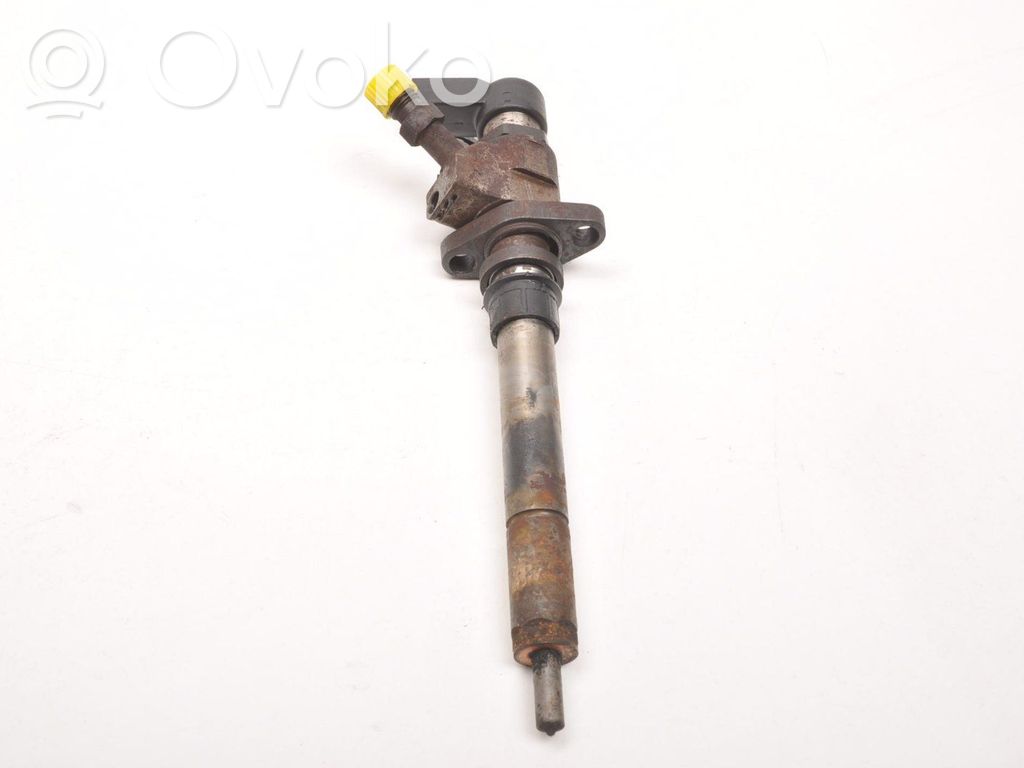 Peugeot 407 Fuel injector 