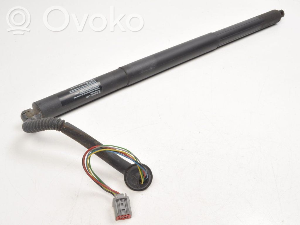 Tailgate strut   600661000B