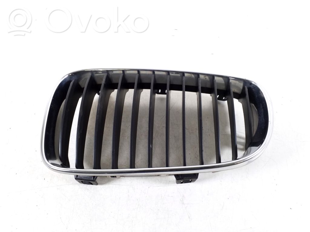 Front grill   51137179655