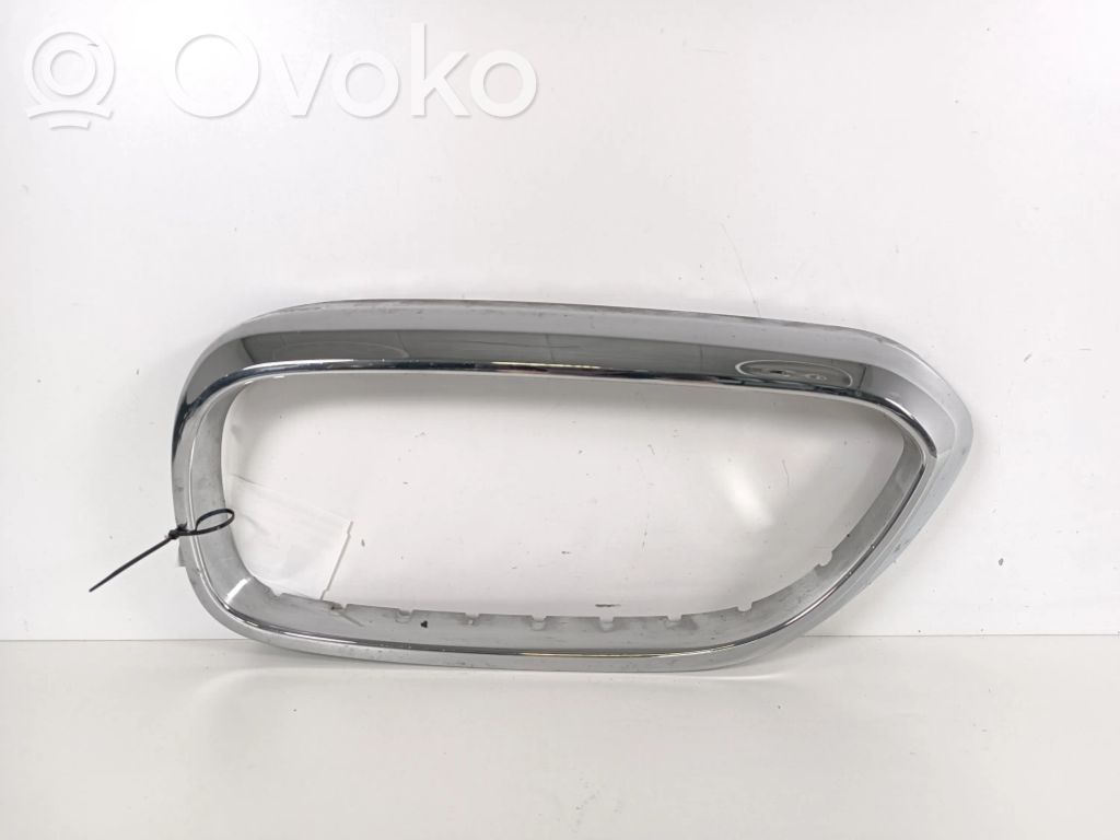 BMW 5 G30 G31 G38 Front grill 
