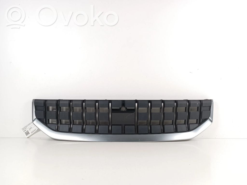 Front grill   31698060
