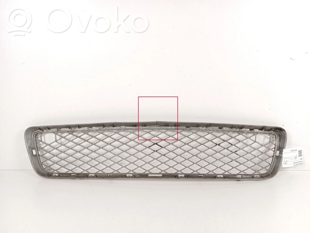BMW X5 E70 Front bumper lower grill 