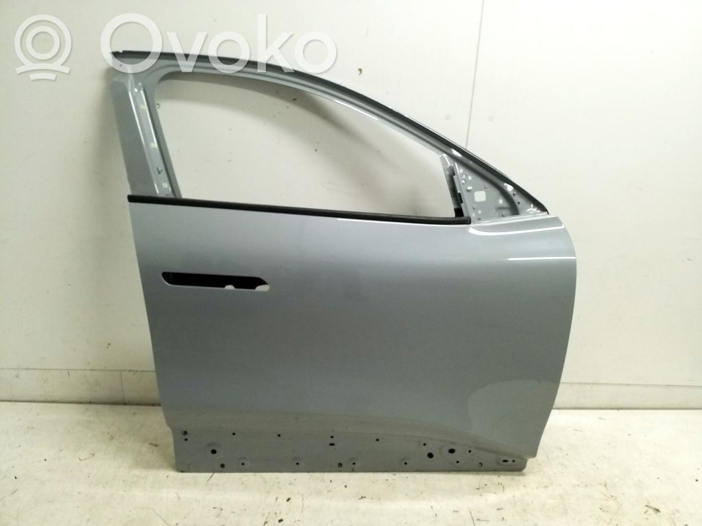 Front door   801002976R