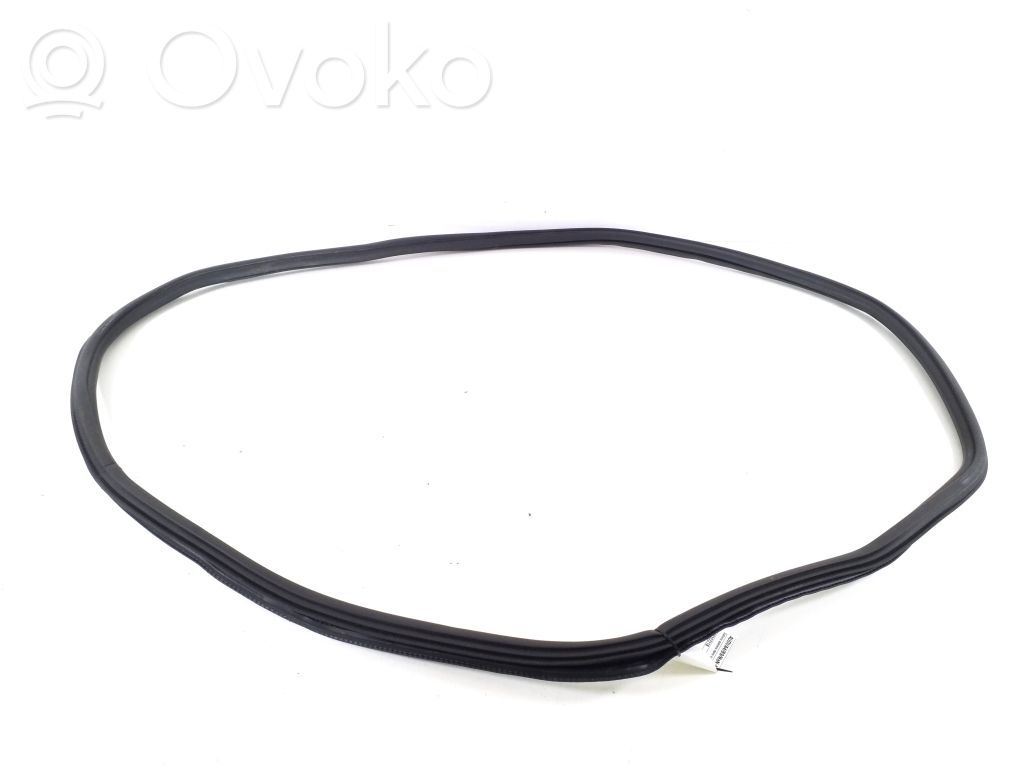 Audi A4 S4 B9 Rear door rubber seal (on body) 