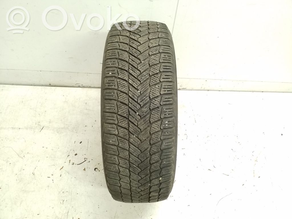 Ford Mach-E I Anvelopă iarnă R18 