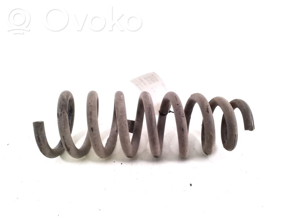 Hyundai Ioniq 5 Feder hinten