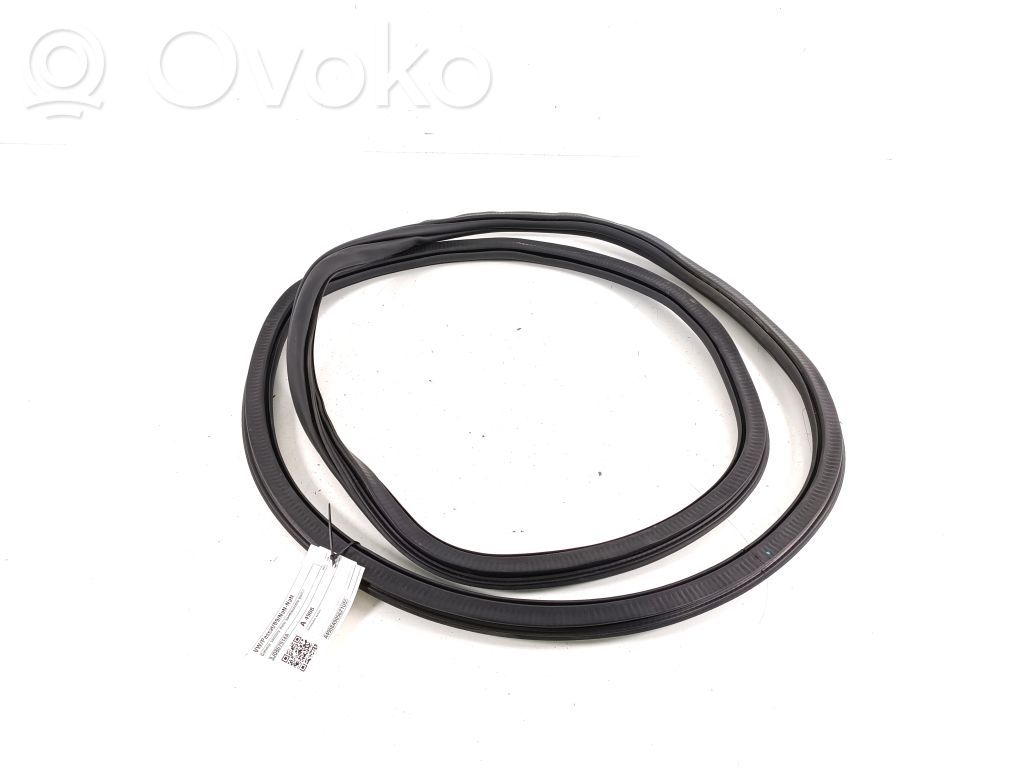 Gumowa uszczelka drzwi tylnych / na karoserii   3J0867914A
