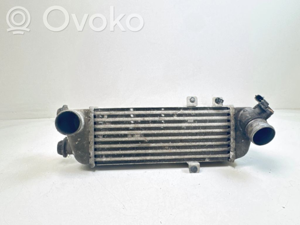Intercooler radiator   2827027060,6072623,17122007134