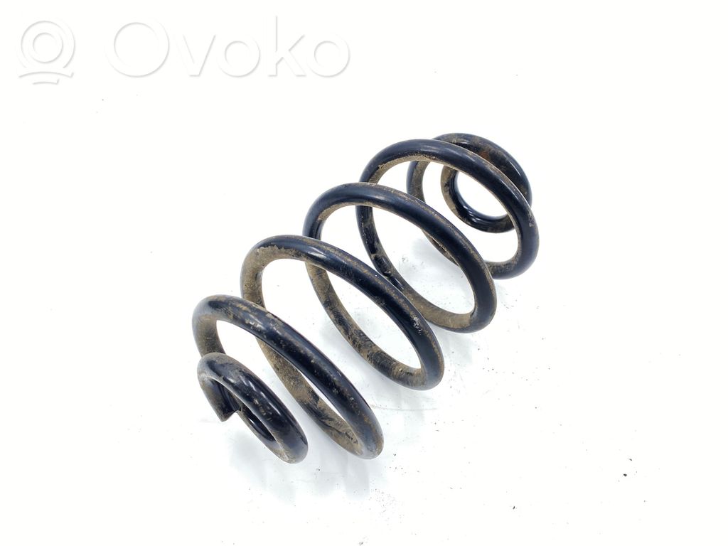 Rear coil spring