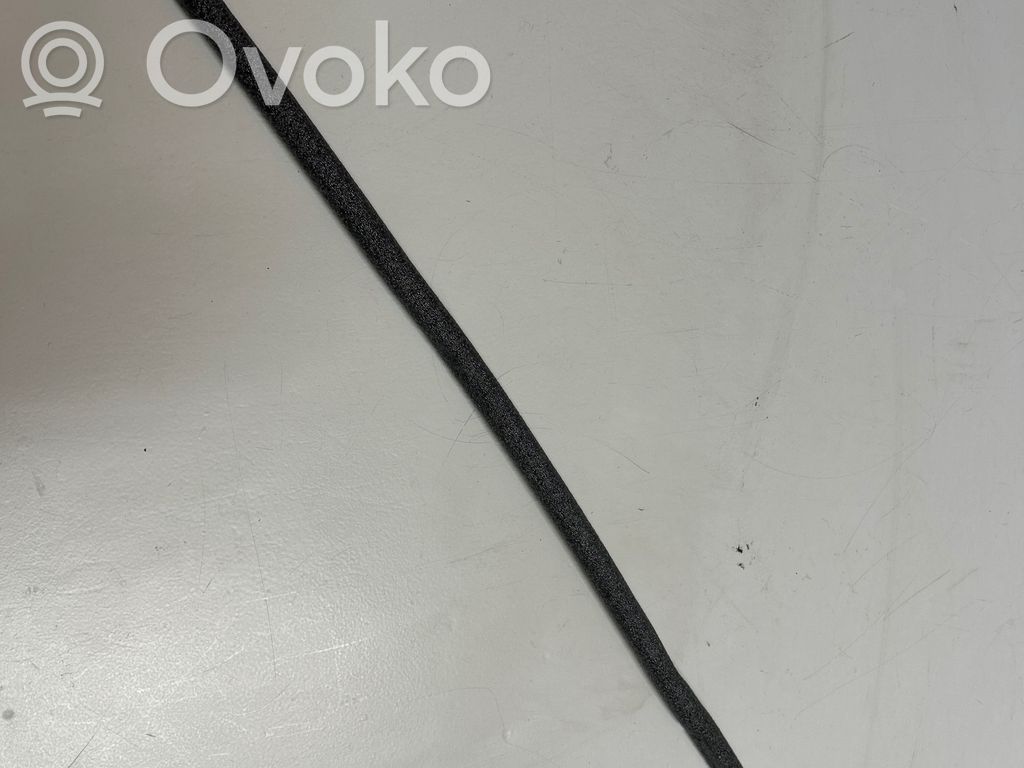 Línea de cable puerta delantera   52621810,G41894661194,2990416
