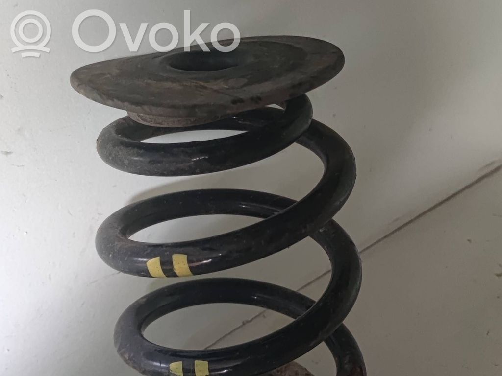 Rear coil spring