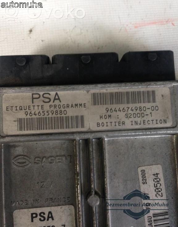 Engine control unit/module ECU   216473537,9644674980,964467498000,9646559880,S20001