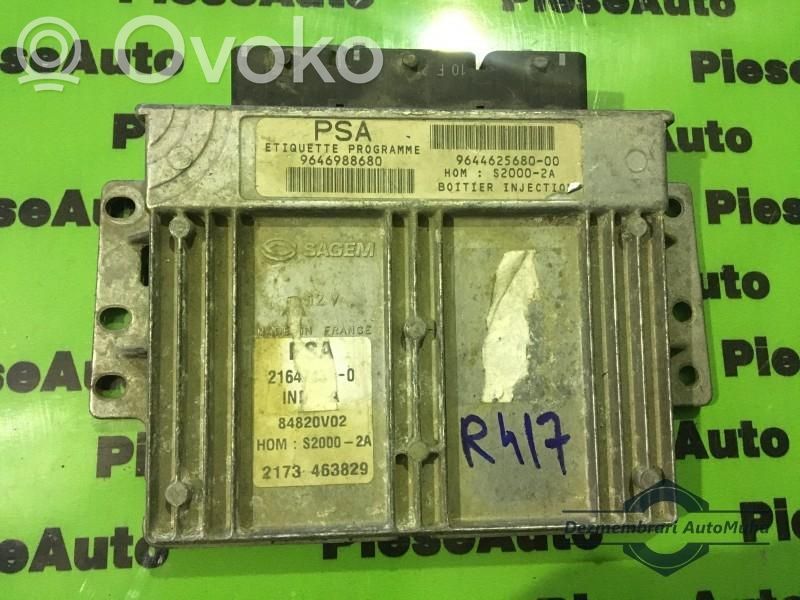 Engine control unit/module ECU   216474310,2173463829,964462568000,9646988680