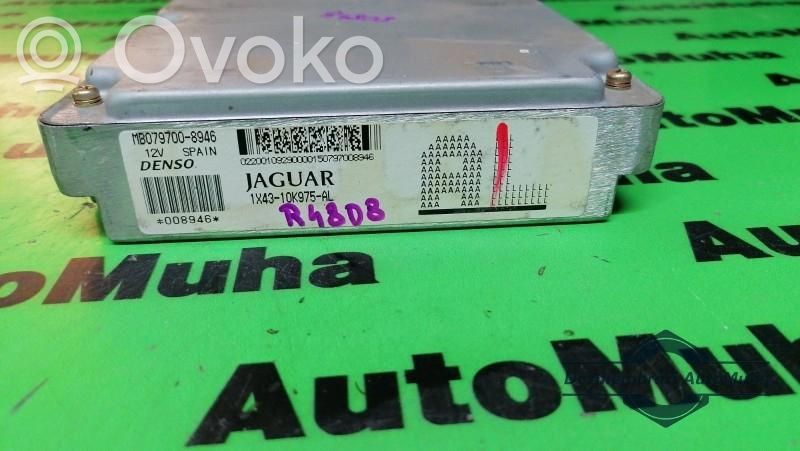 Jaguar X-Type Engine control unit/module ECU 