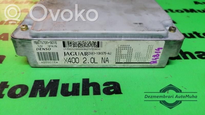 Jaguar X-Type Engine control unit/module ECU 