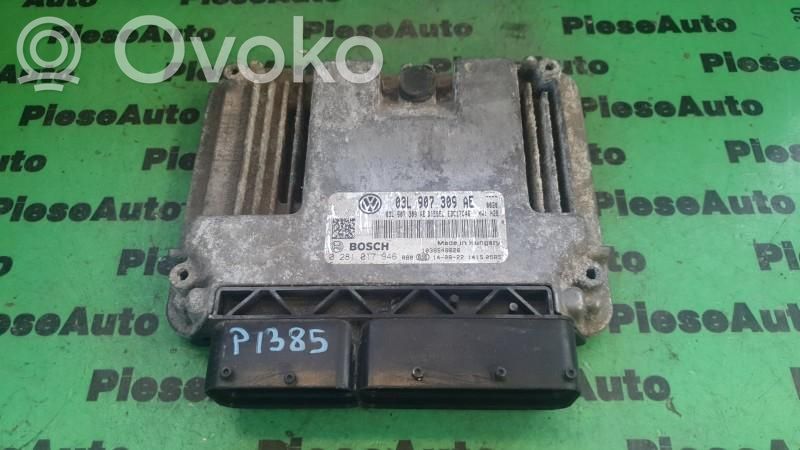 Engine control unit/module ECU   0281017946,03L907309AE
