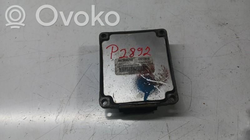 Engine control unit/module ECU   12212819,8973065750