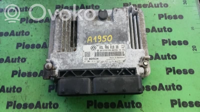 Engine control unit/module ECU   0281016589,03L906018DB