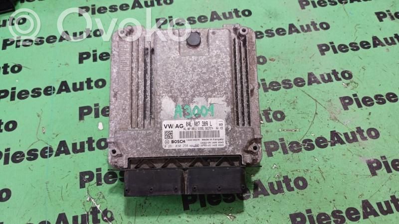 Engine control unit/module ECU   0281030258,04L907309L