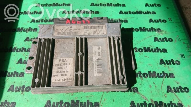 Citroen Saxo Engine control unit/module ECU 