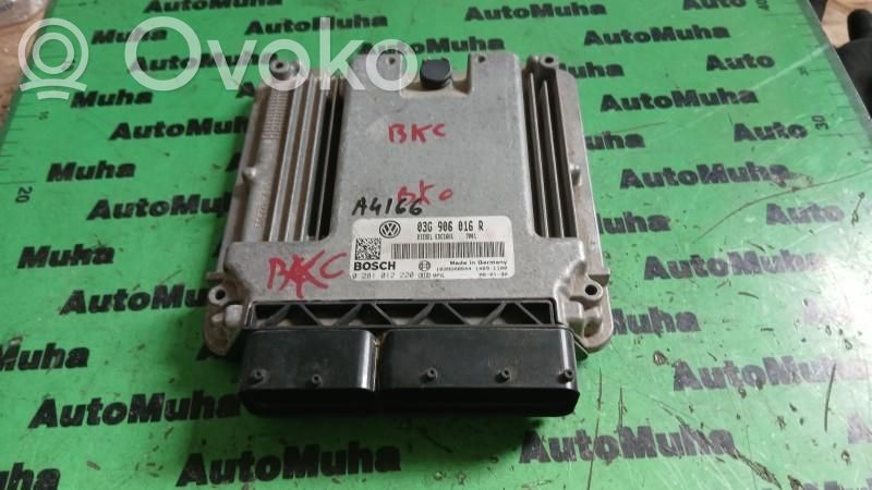 Volkswagen Golf V Engine control unit/module ECU 