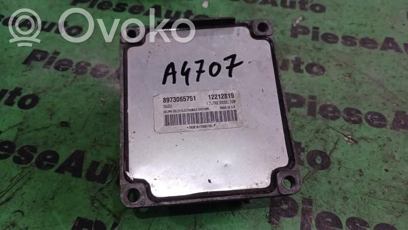Engine control unit/module ECU   12212819,8973065751