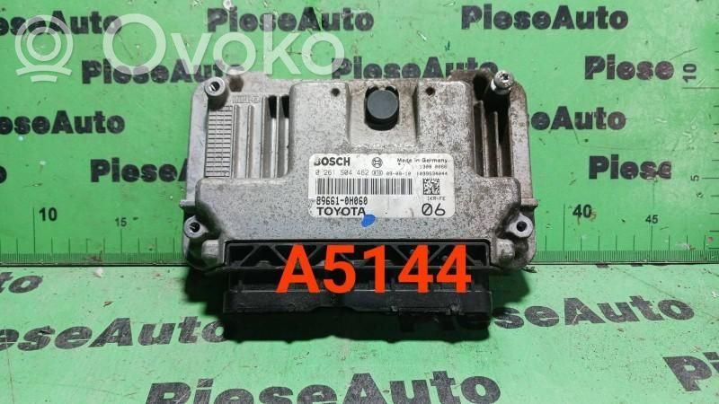 Engine control unit/module ECU   0261S04462,896610H060