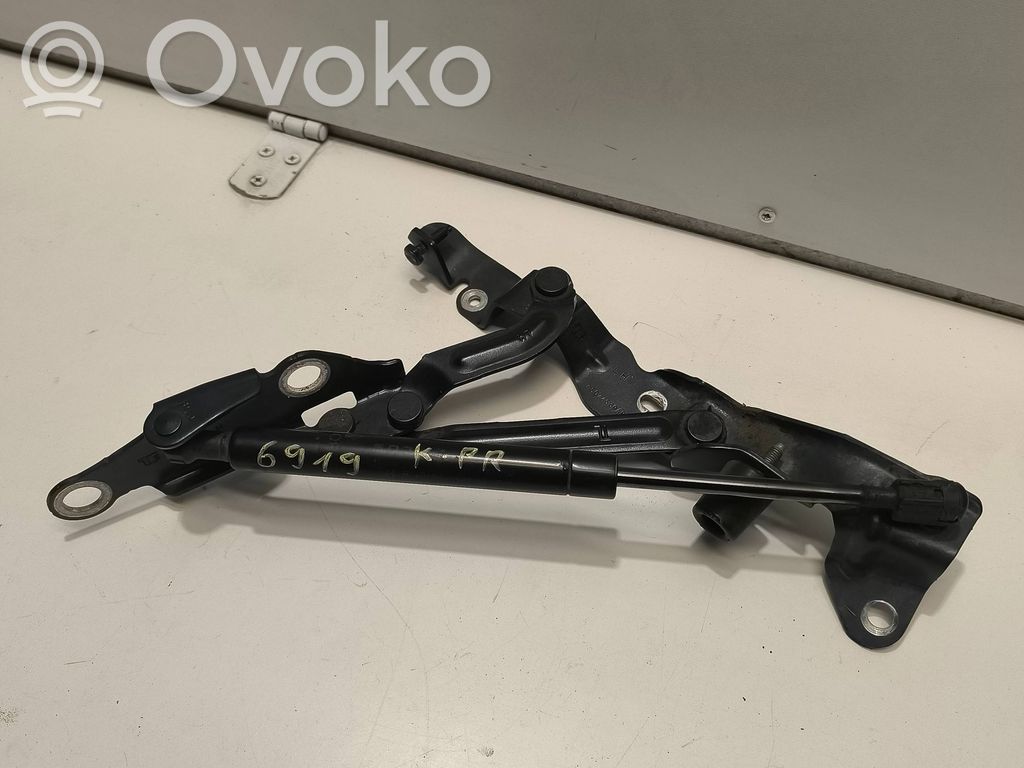Tailgate/trunk/boot hinge   05074539AB
