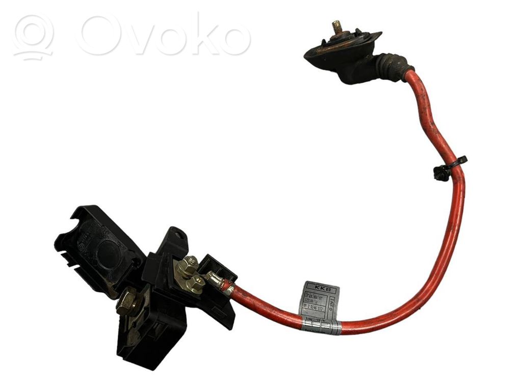 Positive cable (battery)   8385158,61138385158,2D146113,13318810