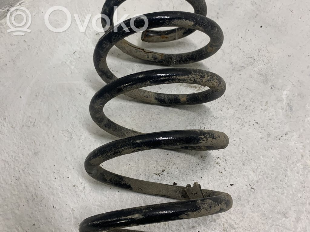 Front coil spring   750338