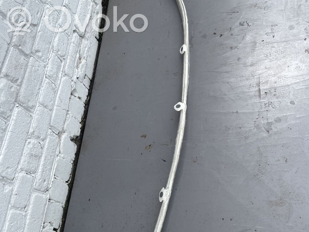 Audi A8 S8 D3 4E Jumta gaisa spilvens 
