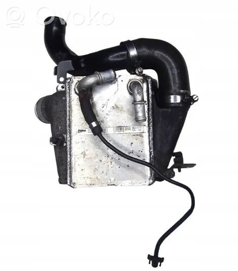 Ford Focus Intercooler radiator 