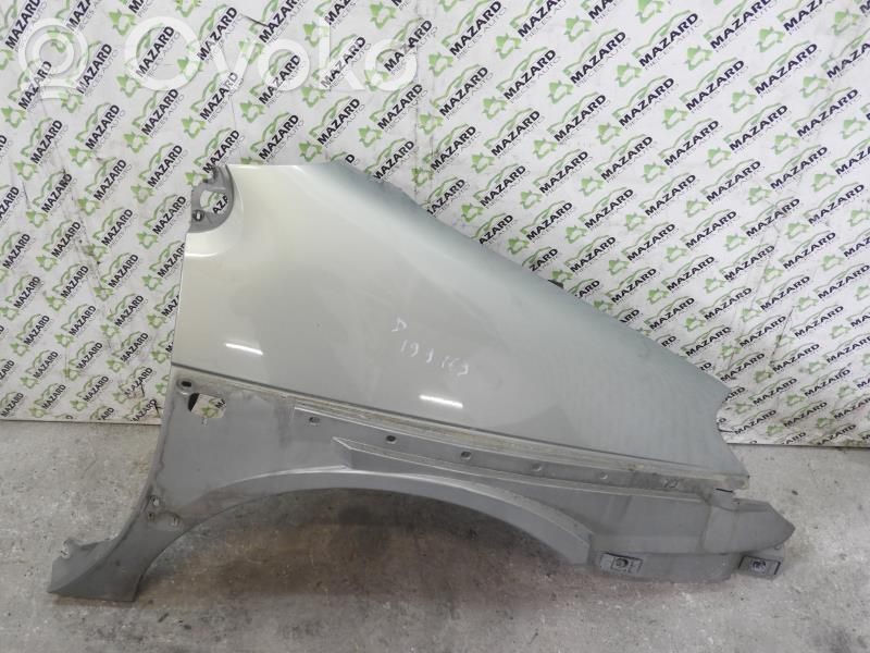 Renault Scenic I Guardabarro 