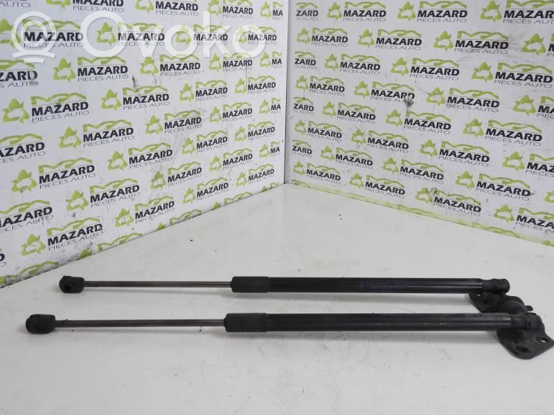 Ford Focus Tailgate/trunk strut/damper 